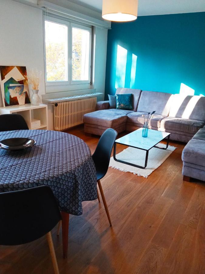 Rare A Colmar - Appartement Champ De Mars Vue Sur Parc - 70M2 - 2 Chambres Exterior foto